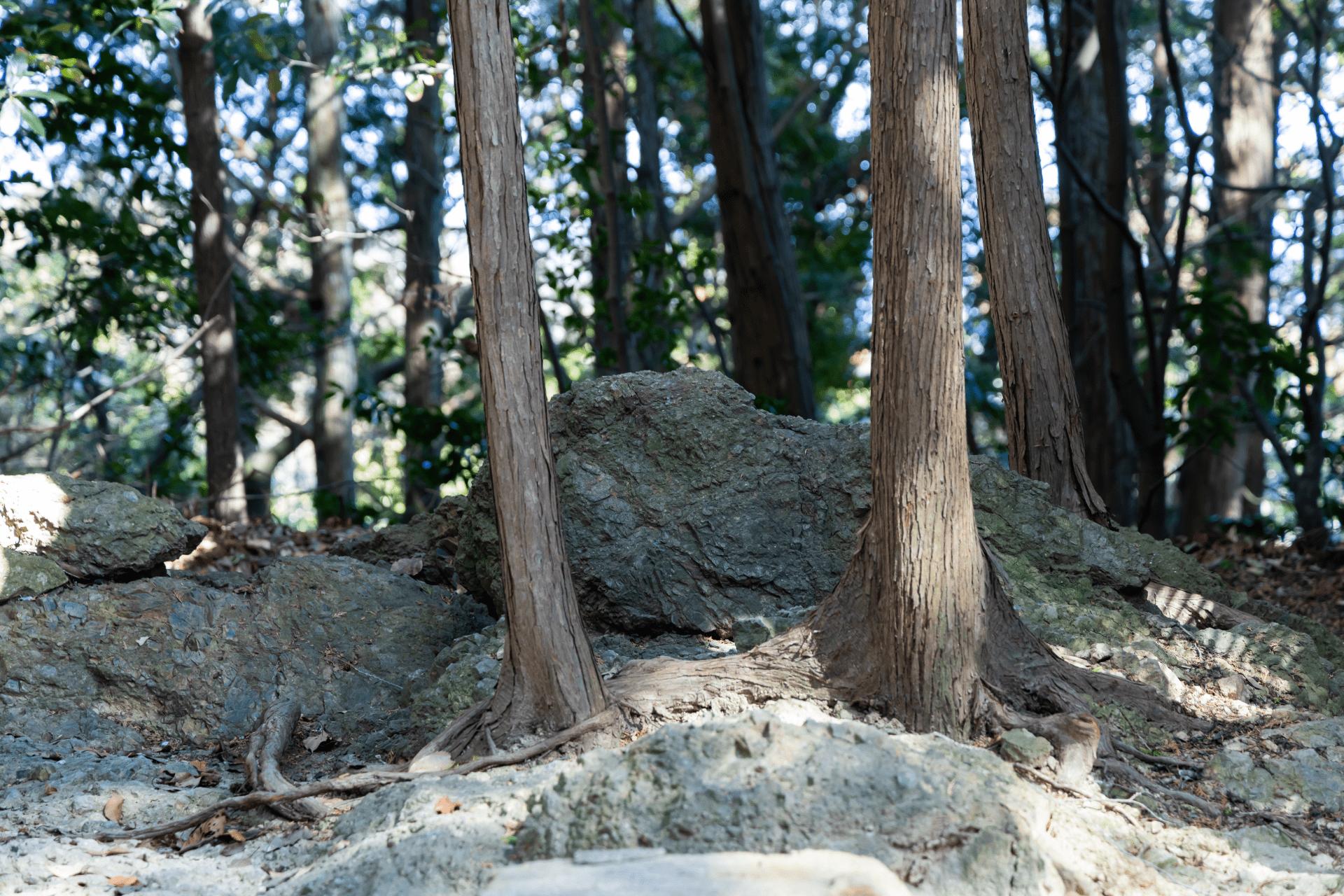 廣峯神社 白幣山磐座｜古代祈りの原点