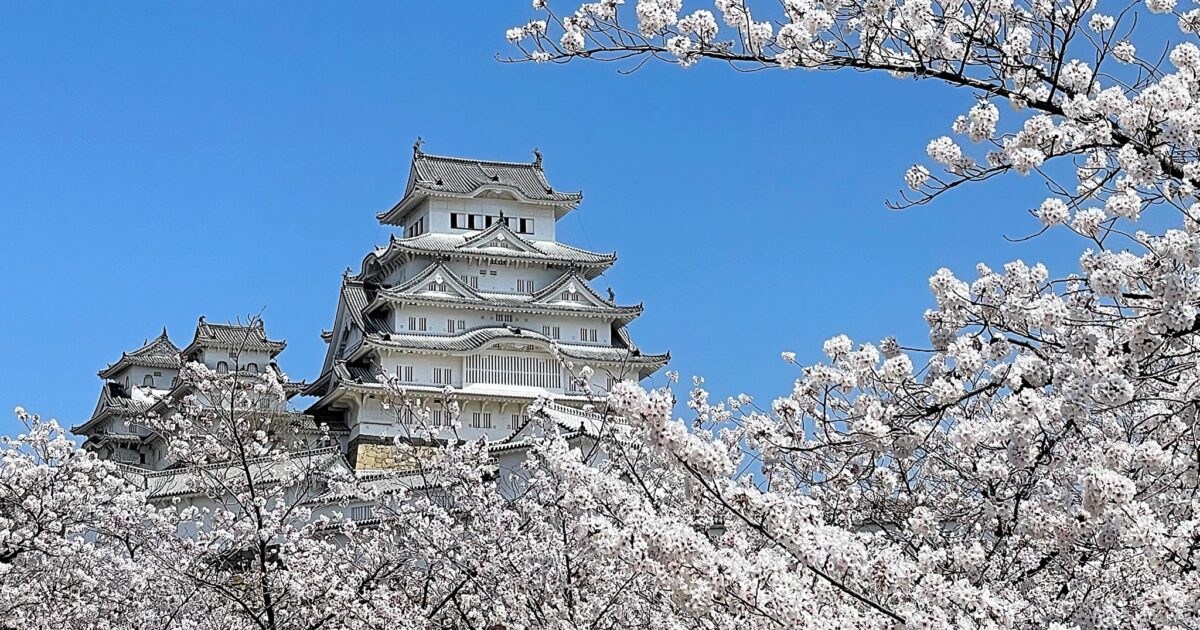 【姫路・桜】姫路城を100円でぐるりと満喫！姫路城ループバスでお花見を