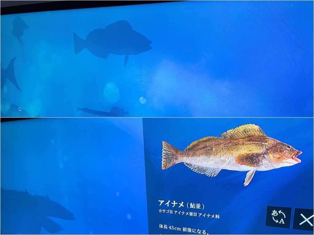 デジタルアクアリウム　（上段）シルエットになった魚の映像にふれると、（下段）解説が表示される