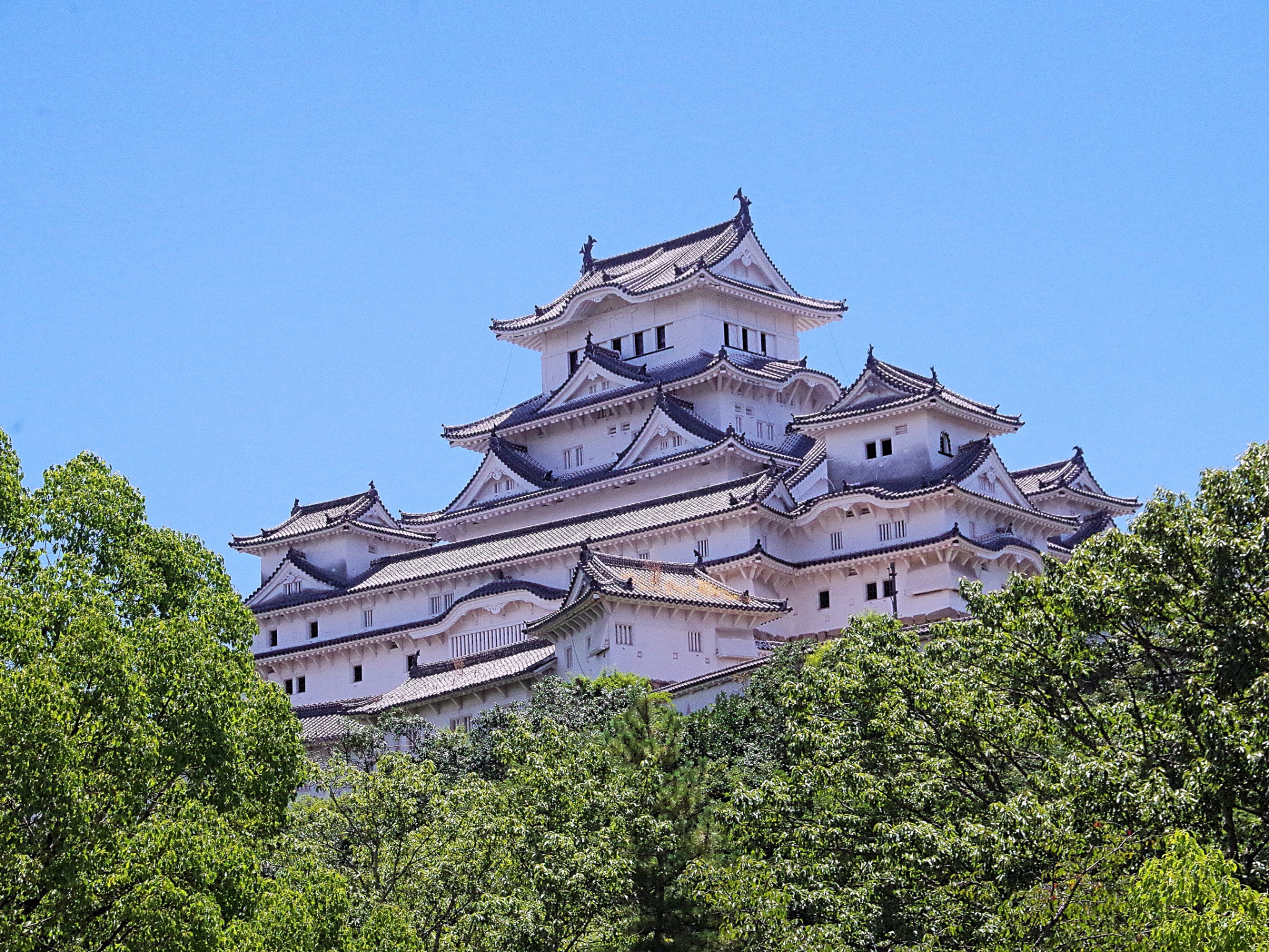 世界遺産・国宝姫路城 夏の特別公開』2023年の夏は姫路城が熱い 