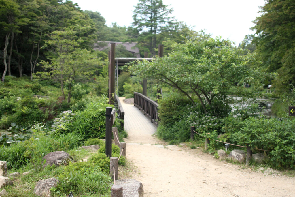 木道橋