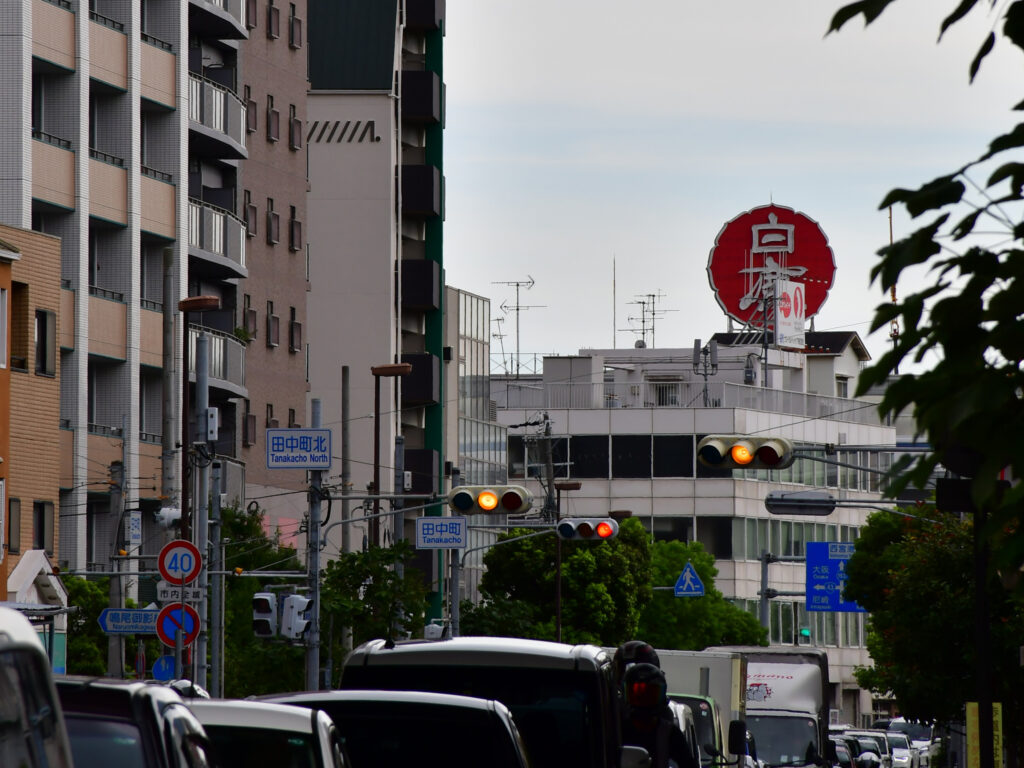 阪神電車の辺りからも見えていました