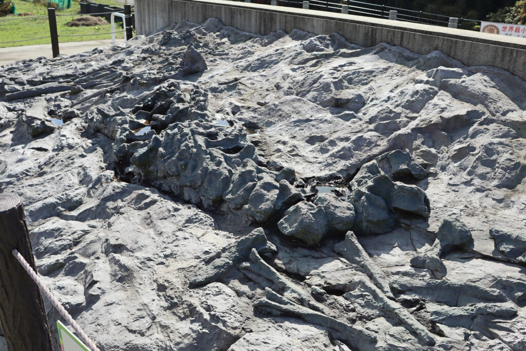 丹波竜化石の産状レプリカ