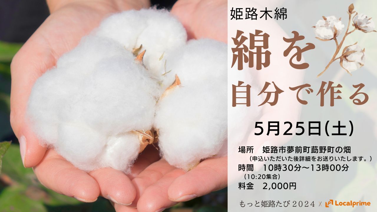 【2024.5.25(土)】姫路木綿の綿を自分で一から作る体験