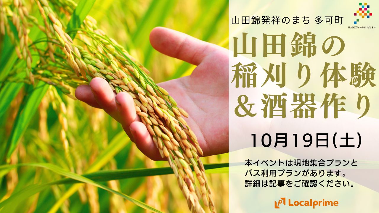 ※開催終了【2024.10.19(土)】多可町山田錦稲刈り＆酒器作り