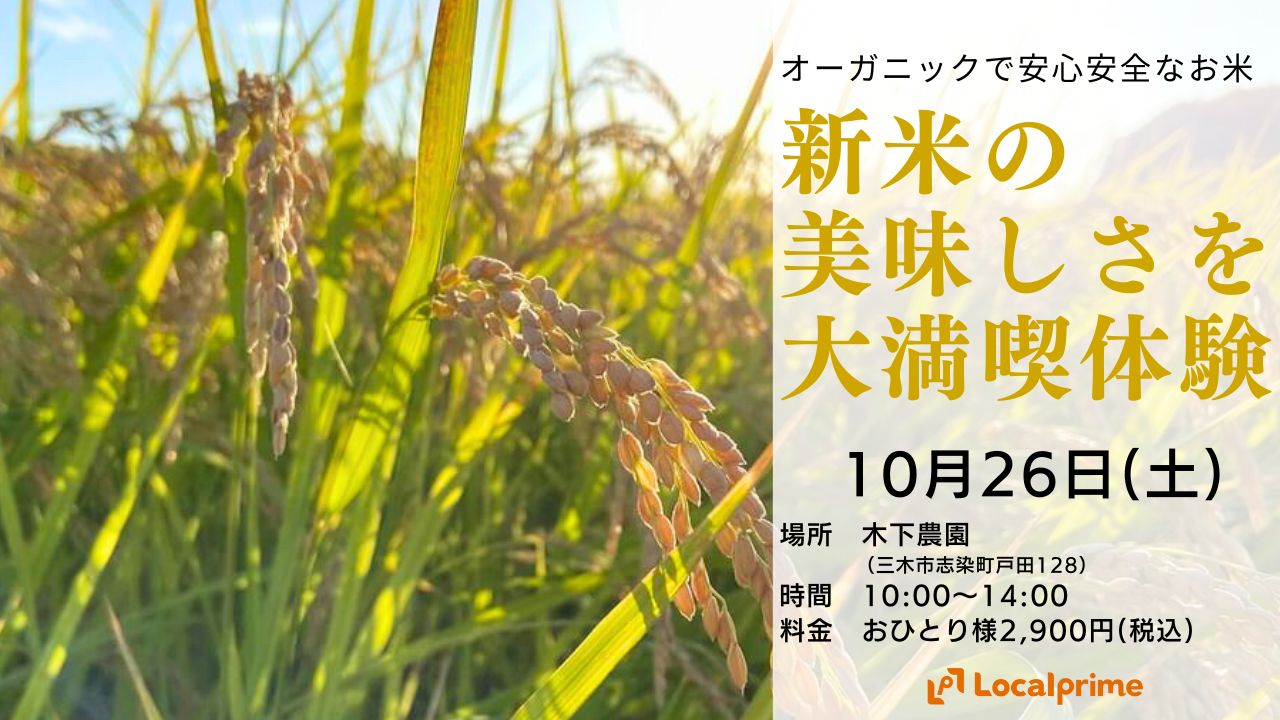 ※開催終了【2024.10.26(土)】秋の風物詩！お米不足だからこそ稲刈り体験で新米のおいしさを…満喫体験ご用意しました