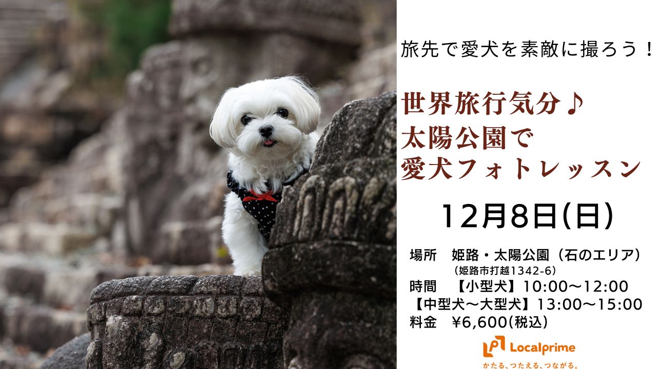 【2024.12.8(日)】旅先で愛犬を素敵に撮ろう！～世界旅行気分を味わいながら太陽公園で愛犬フォトレッスン～