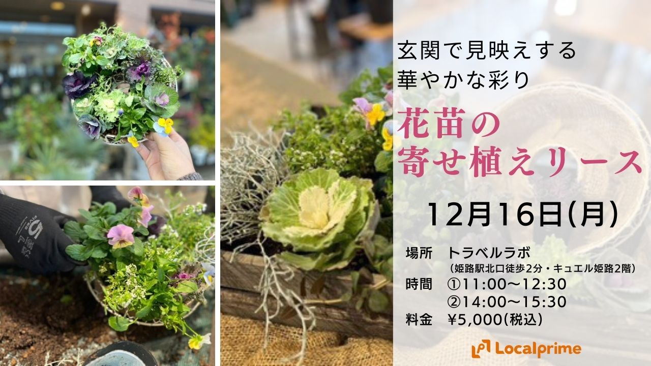 【2024.12.16(月)】玄関前を彩る花苗の寄せ植えリース作り