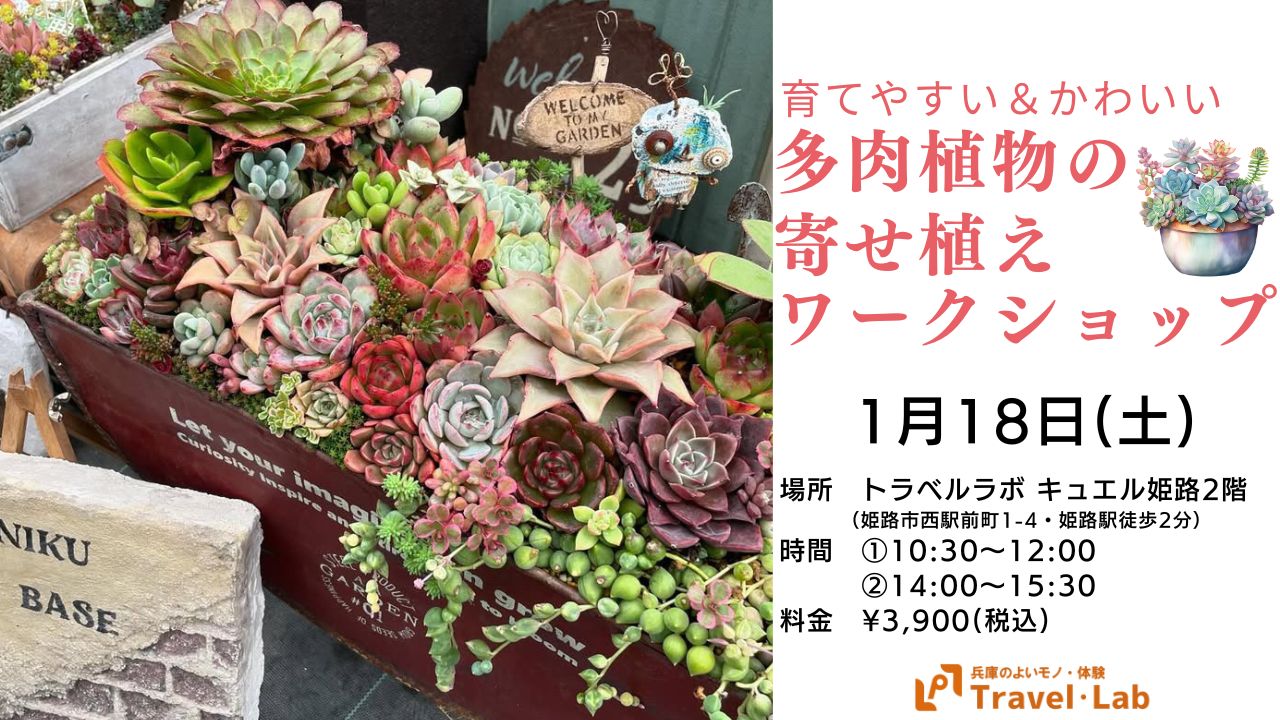 【2025.1.18(土)】育てやすい＆かわいい～多肉植物の寄せ植えワークショップ～