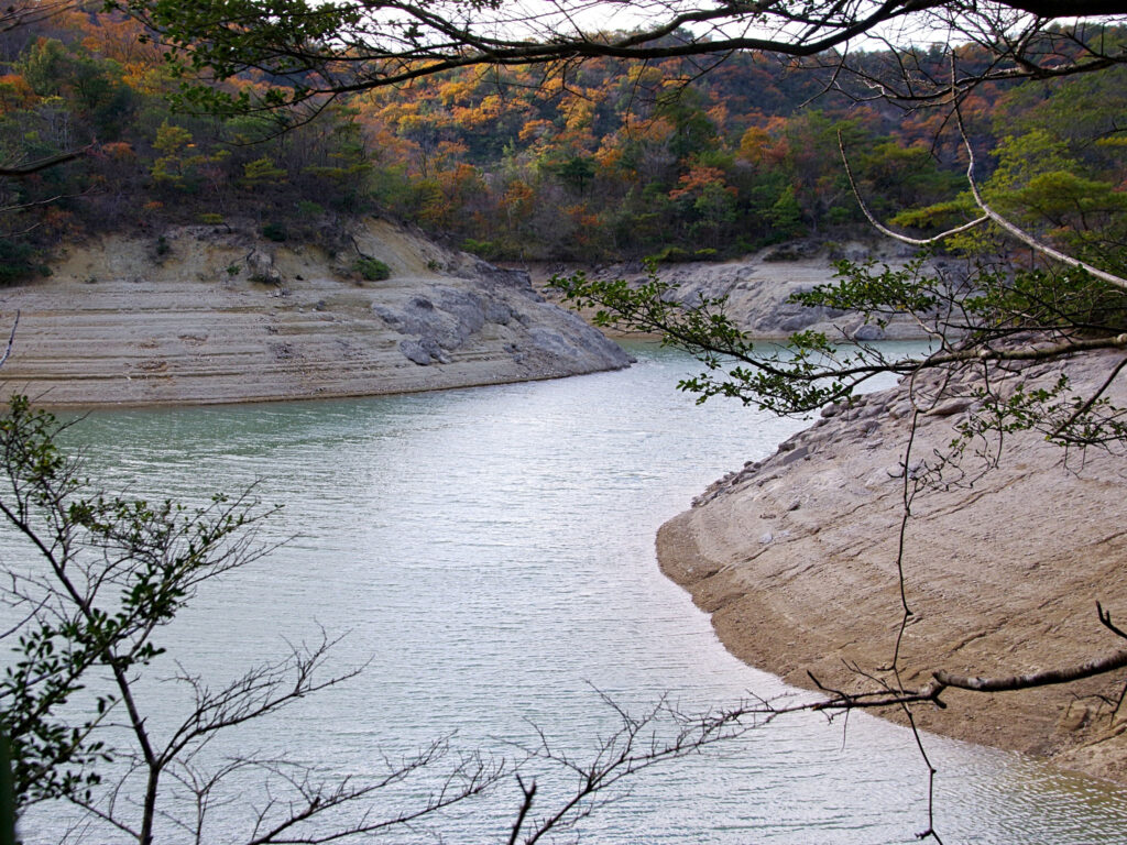 昭和池の湖畔