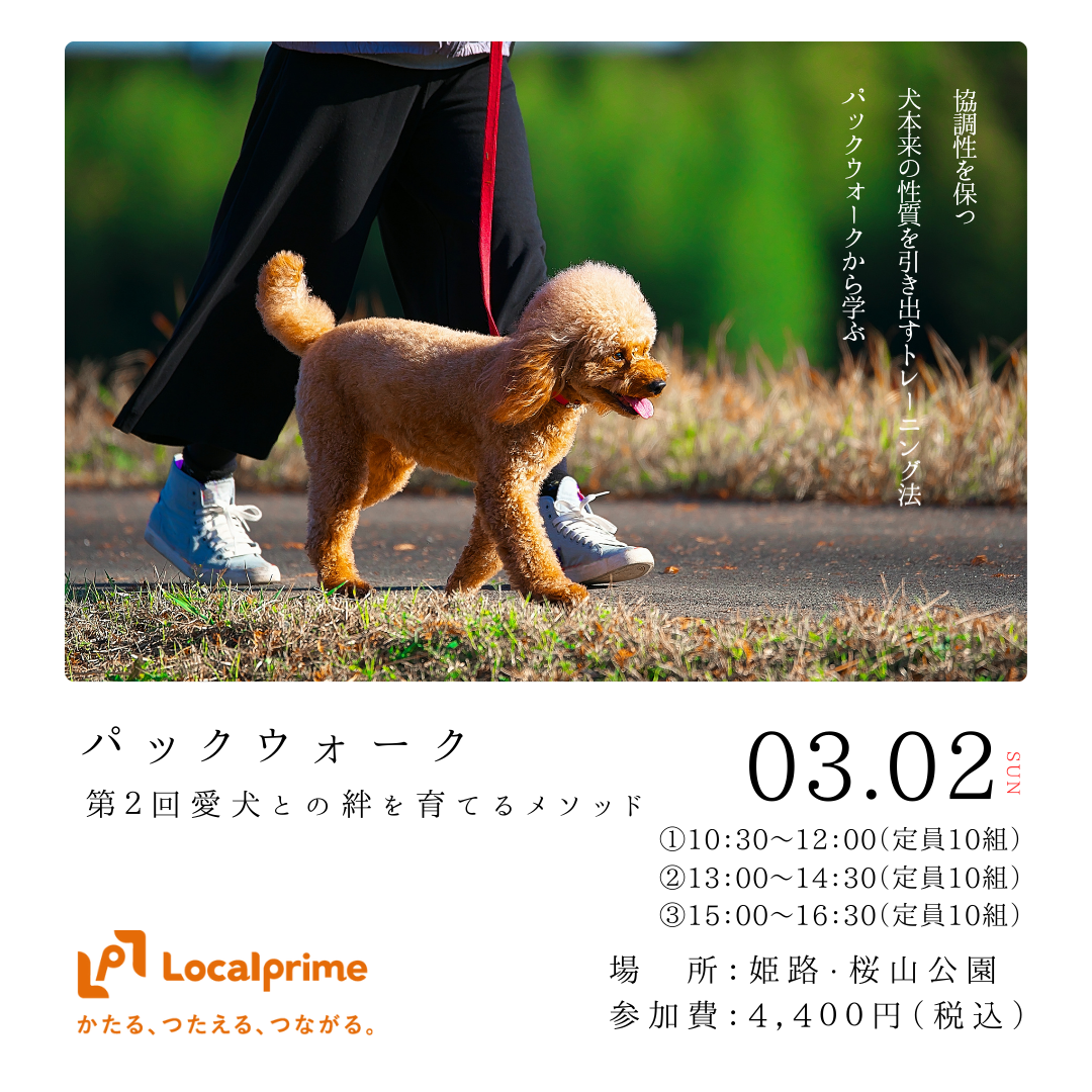 【2025.3.2(日)】愛犬との絆を育てるメソッド ～パックウォーク～