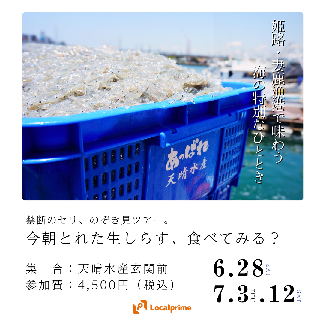 【2025.6.28(土) / 7.3(木)/7.12(土)】禁断のセリ、のぞき見ツアー。今朝とれた生しらす、食べてみる？