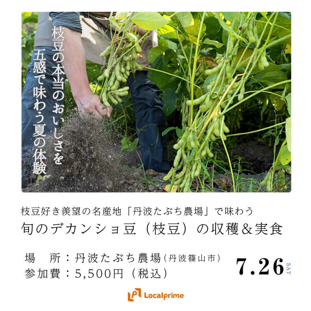 〔2025.7.26(土)開催〕枝豆好き羨望の名産地「丹波たぶち農場」で味わう、旬のデカンショ豆（枝豆）の収穫＆実食