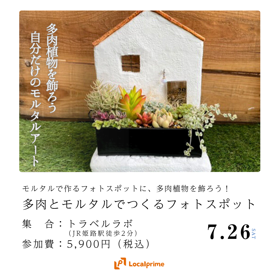 〔2025.7.26(土)開催〕多肉とモルタルでつくるフォトスポット