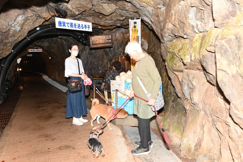 愛犬と楽しむ坑道内の様子